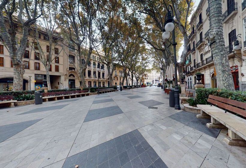 هتل Nivia Born Boutique