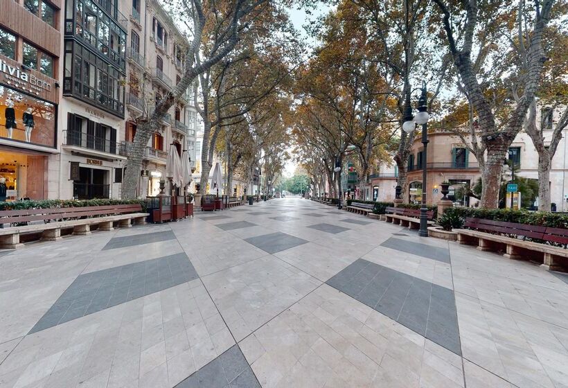 هتل Nivia Born Boutique