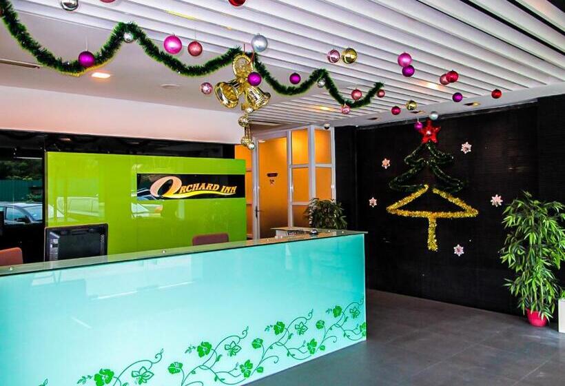 فندق Orchard Inn