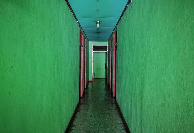 בית מלון כפרי Oyo 90136  Bone Indah