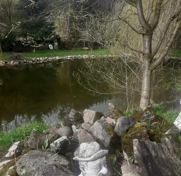 ホテル Pensiunea Perla Maramuresului