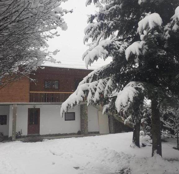 ホテル Pensiunea Perla Maramuresului