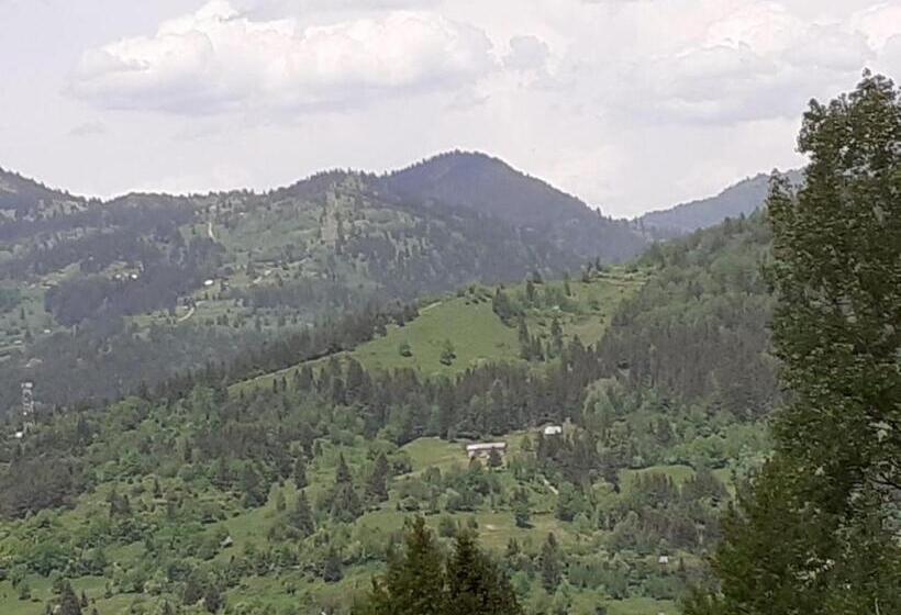 ホテル Pensiunea Perla Maramuresului