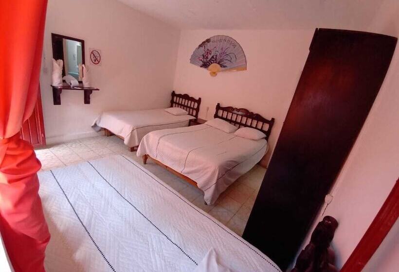 Отель Reforma Inn