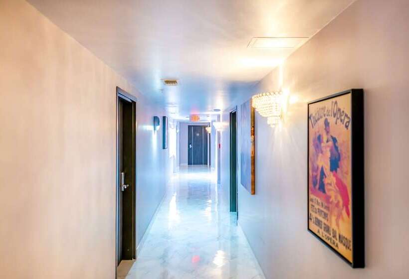 Отель Secret Garden Miami Beach