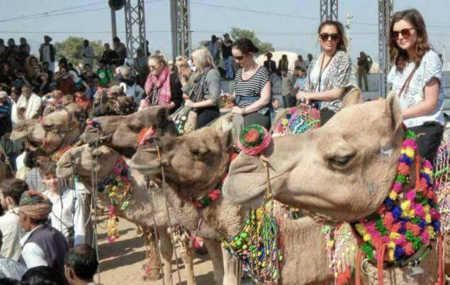 فندق Sparrow Inn