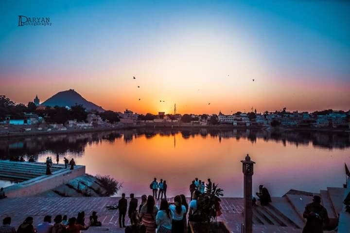 فندق Sparrow Inn