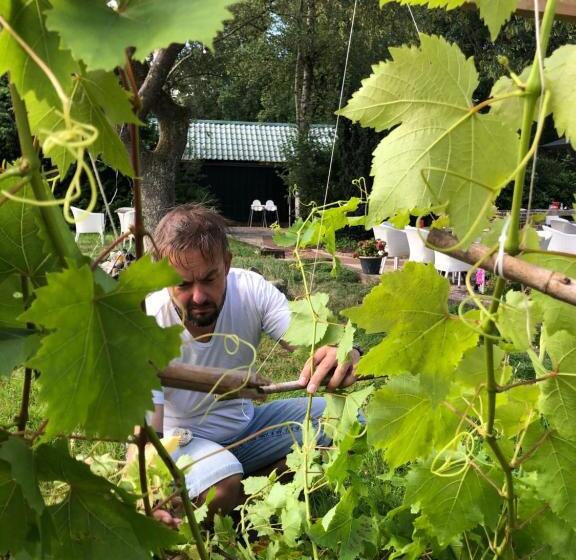 هتل Villa Blauwhemel Diever