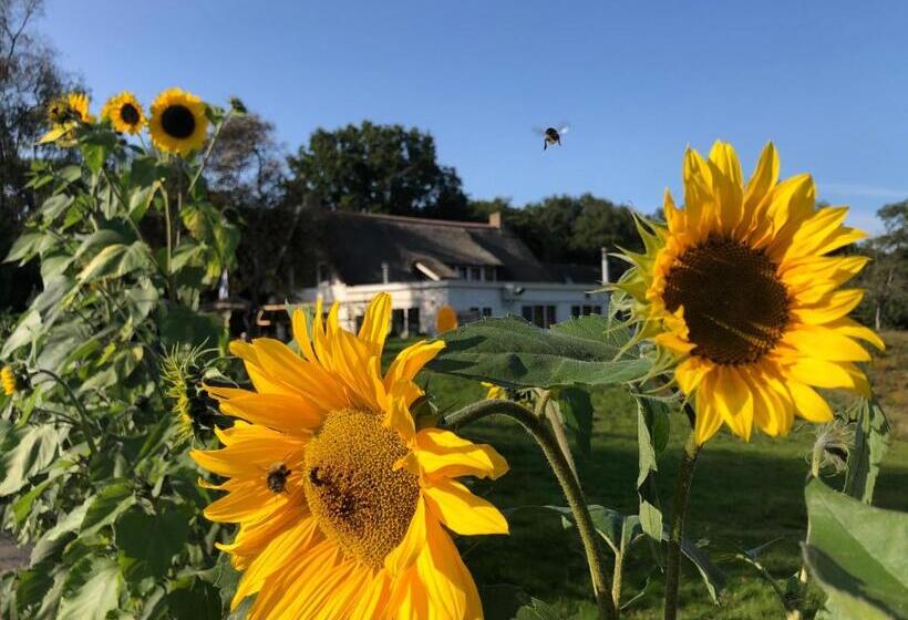 هتل Villa Blauwhemel Diever