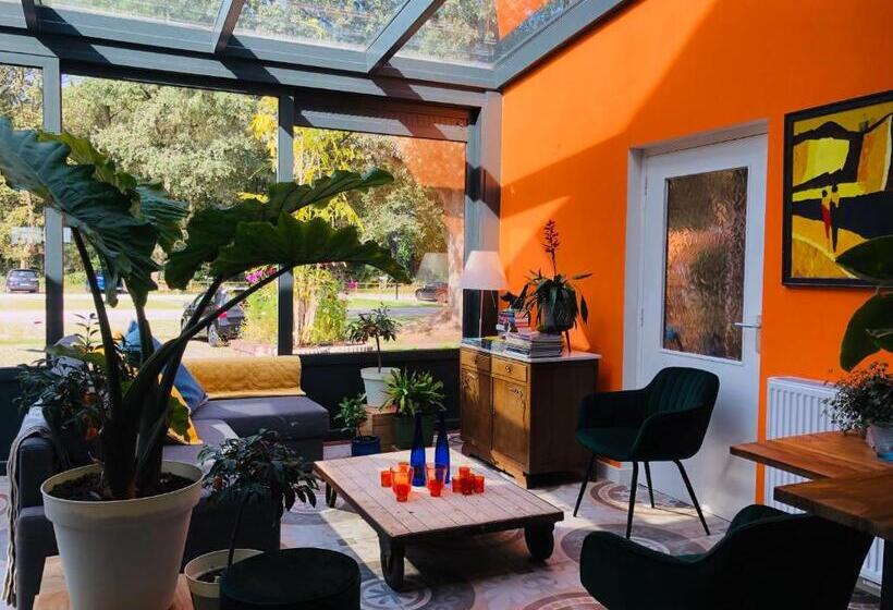 هتل Villa Blauwhemel Diever