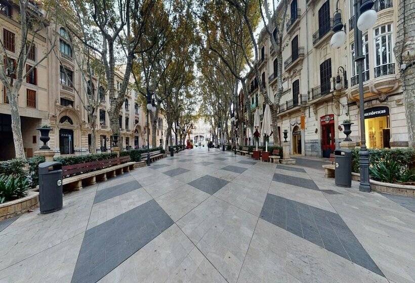 هتل Nivia Born Boutique