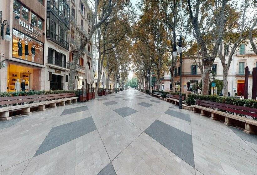 هتل Nivia Born Boutique