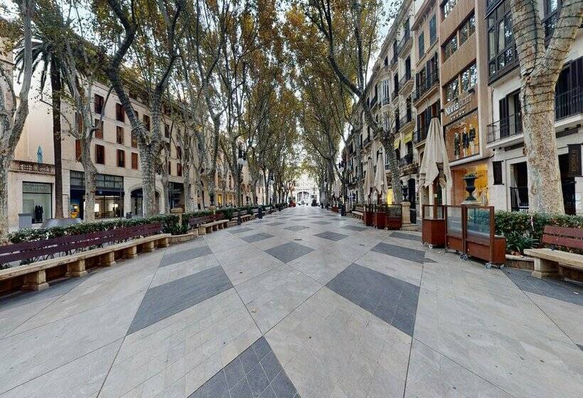 هتل Nivia Born Boutique