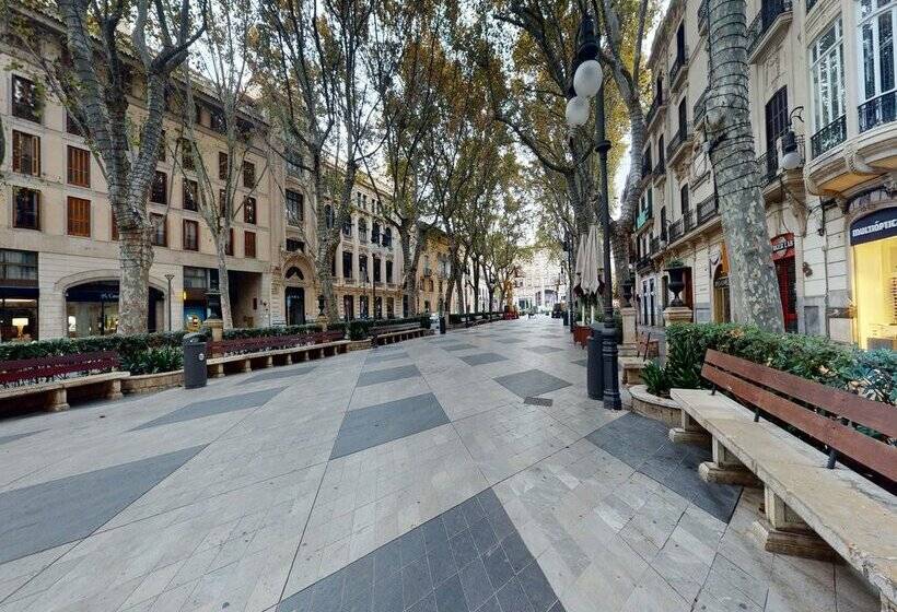 هتل Nivia Born Boutique