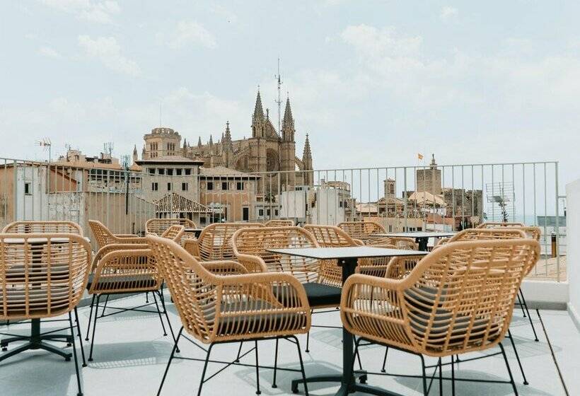 هتل Nivia Born Boutique