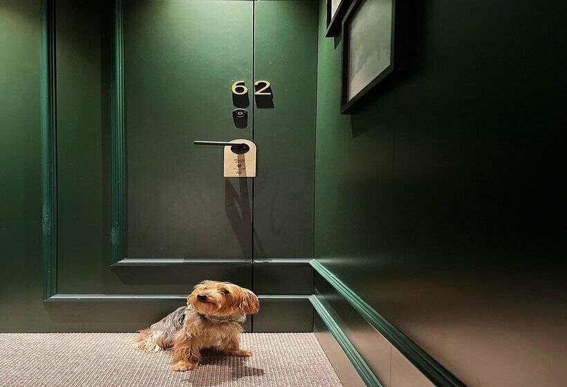 هتل Nivia Born Boutique