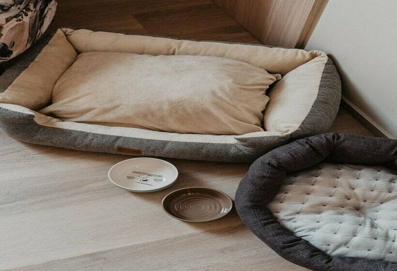 هتل Nivia Born Boutique