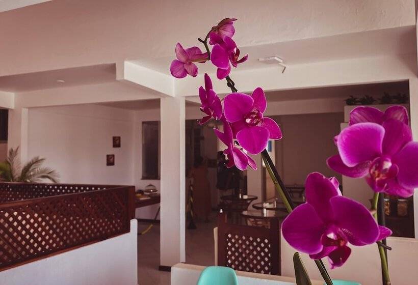 פנסיון Della Paz Pousada