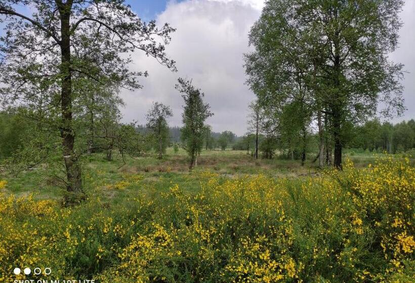 펜션 Gästehaus Kuck