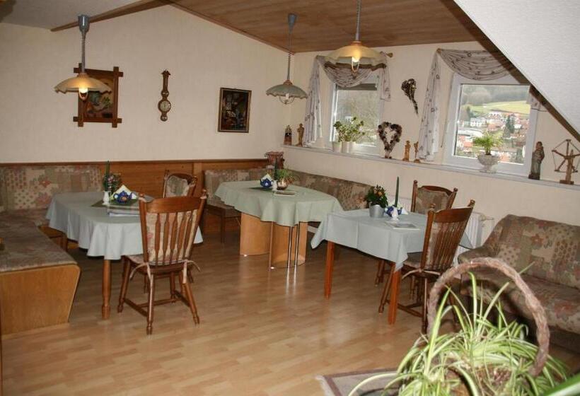 פנסיון Haus Luise Weber