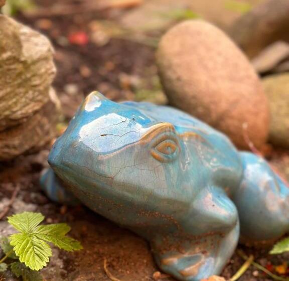 Пансион Konšelský šenk Domažlice