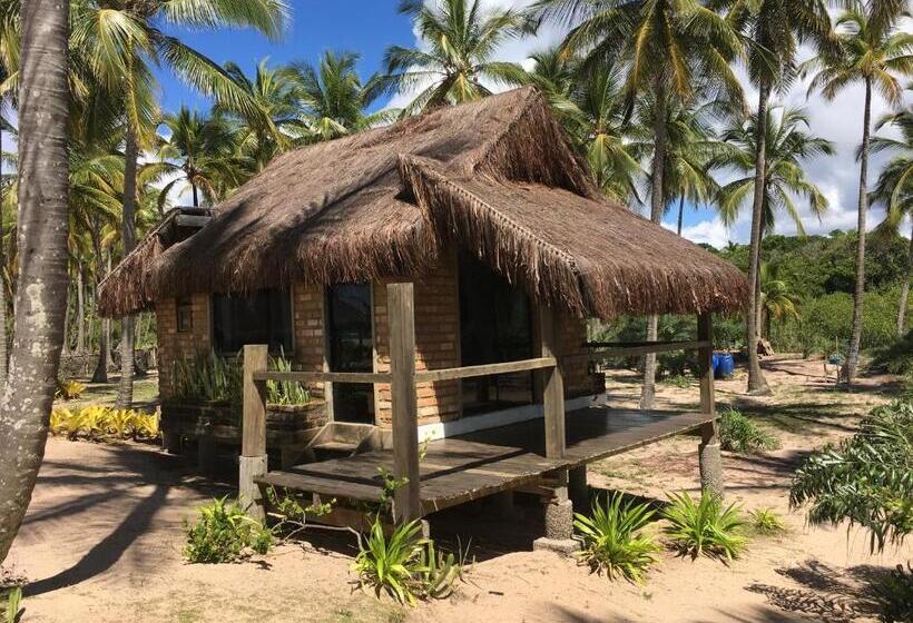 פנסיון Pousada Mar Dos Algodões   Praia De Algodões