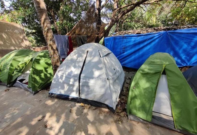 ペンション White Rooms And Tents, Vagator