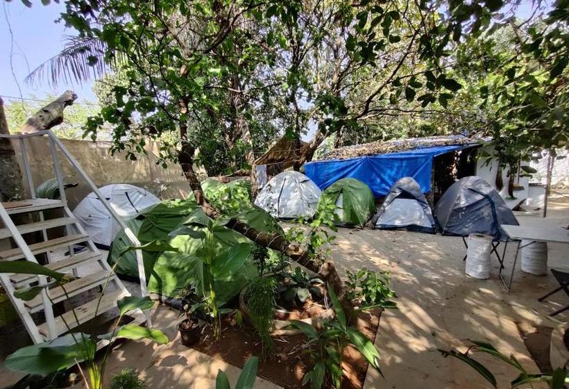 ペンション White Rooms And Tents, Vagator