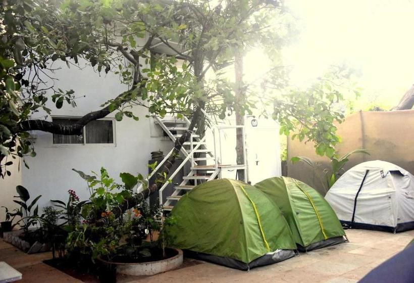 ペンション White Rooms And Tents, Vagator