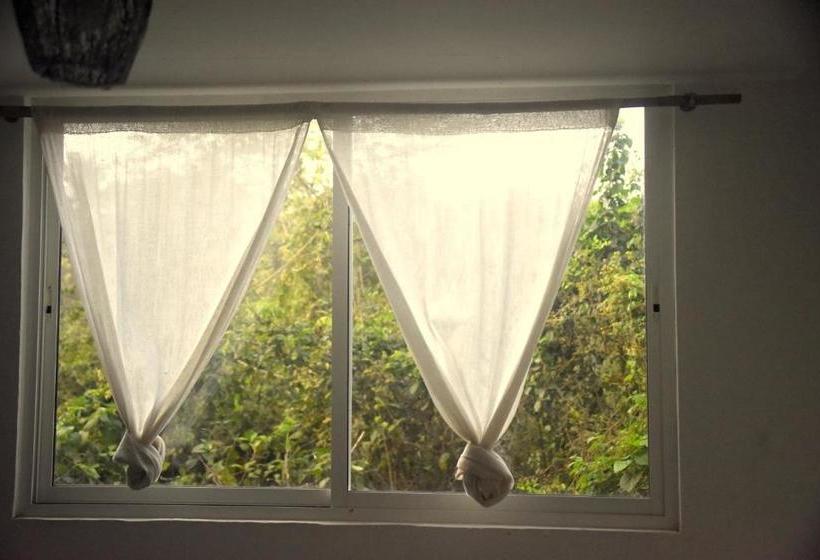 ペンション White Rooms And Tents, Vagator