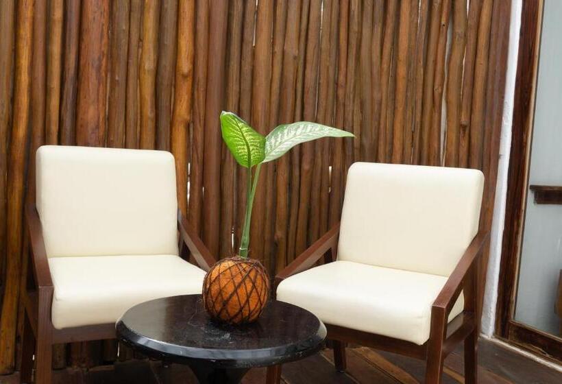 پانسیون Xcabal Hotel Boutique