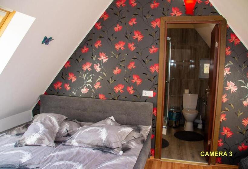 Pensiunea La Sishe Valea Putnei