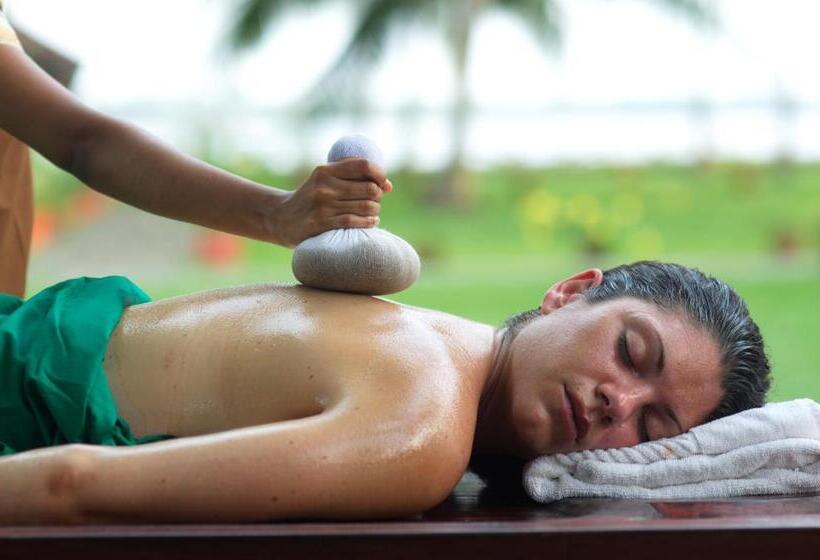リゾートホテル Ayursoma Ayurveda Royal Retreat