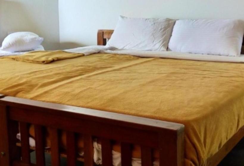 Sadashivgad Sea View Resort  Jungle Lodges