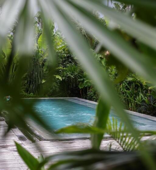 Surfing Temple Hotel Boutique