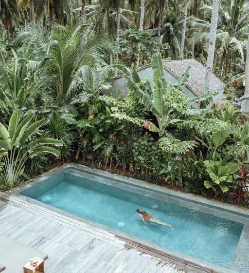 Surfing Temple Hotel Boutique