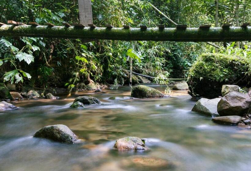 Общежитие Tukawa