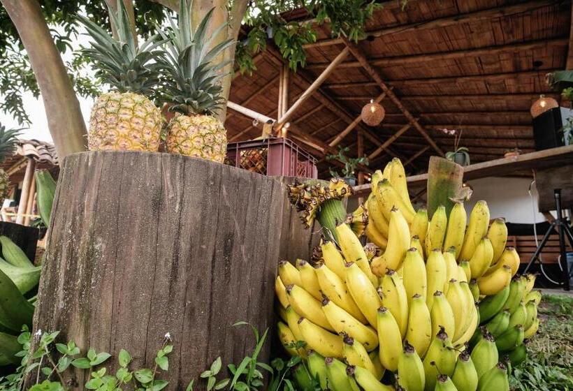 Общежитие Tukawa