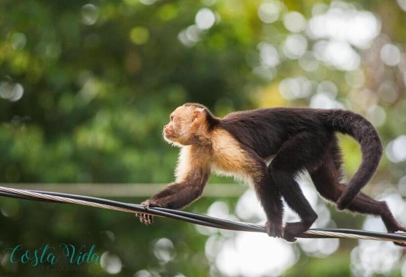 مبيت وإفطار Pacific Edge Eco Lodge