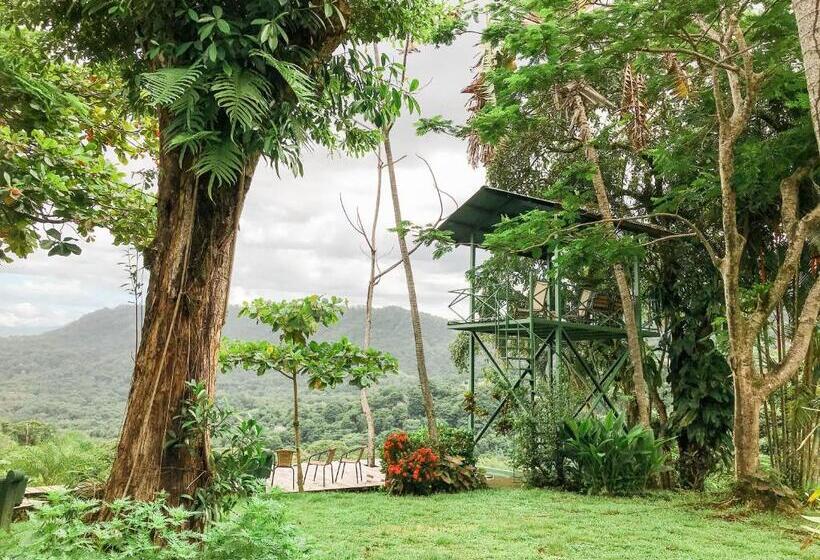 مبيت وإفطار Pacific Edge Eco Lodge