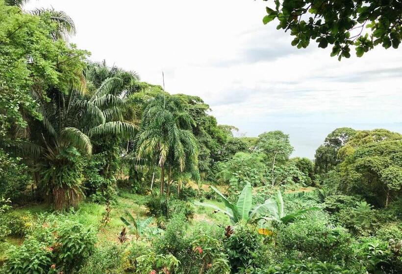 مبيت وإفطار Pacific Edge Eco Lodge