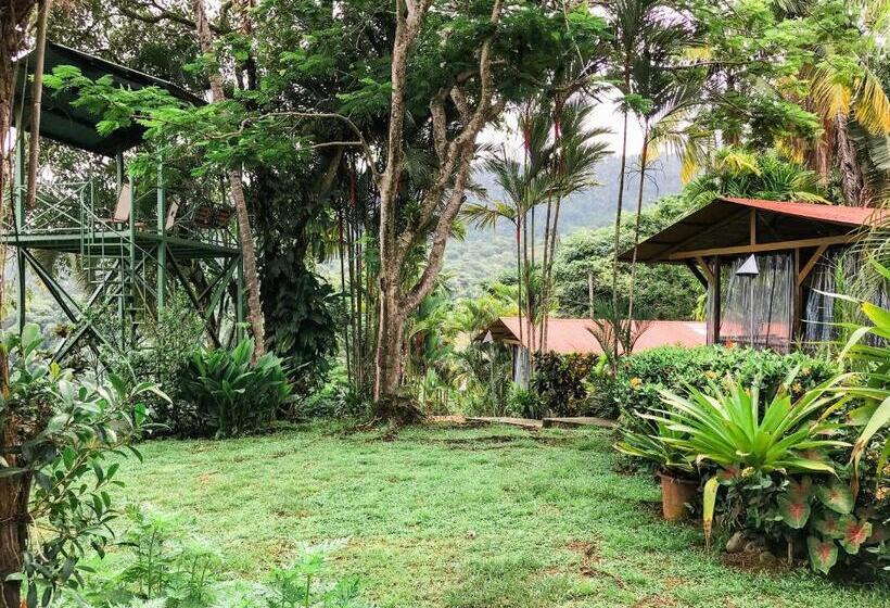 مبيت وإفطار Pacific Edge Eco Lodge