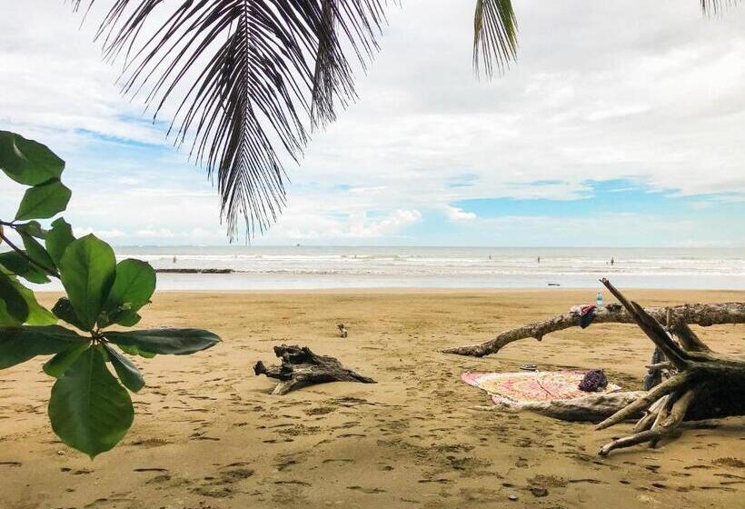 مبيت وإفطار Pacific Edge Eco Lodge