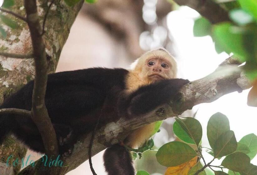 مبيت وإفطار Pacific Edge Eco Lodge