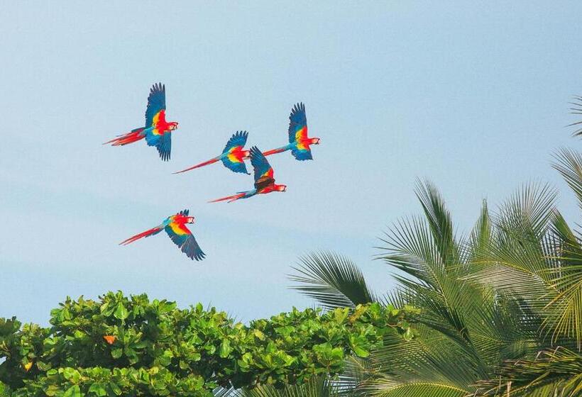 مبيت وإفطار Pacific Edge Eco Lodge