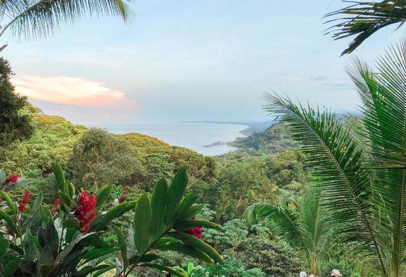 مبيت وإفطار Pacific Edge Eco Lodge