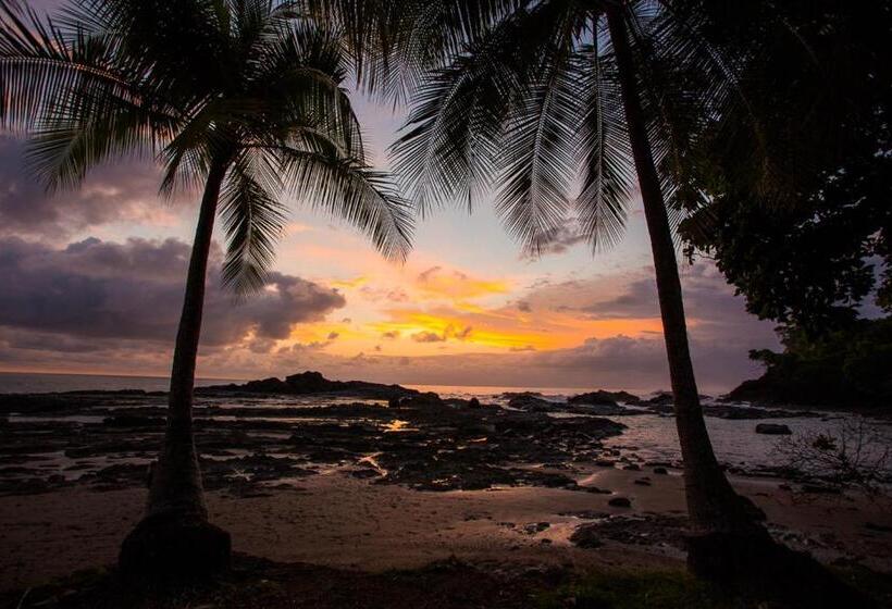 مبيت وإفطار Pacific Edge Eco Lodge