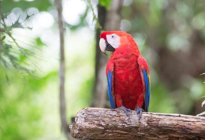 مبيت وإفطار Pacific Edge Eco Lodge