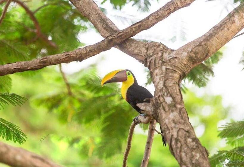 مبيت وإفطار Pacific Edge Eco Lodge