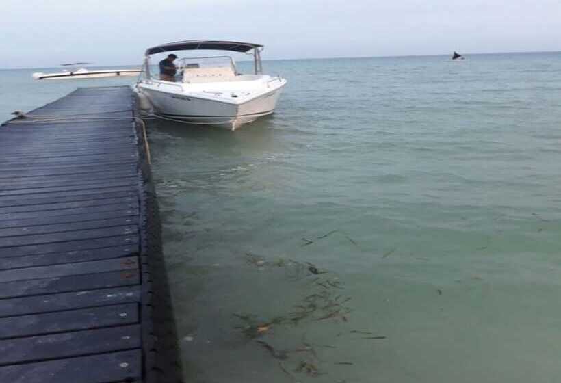 Отель Baru Punta Blanca